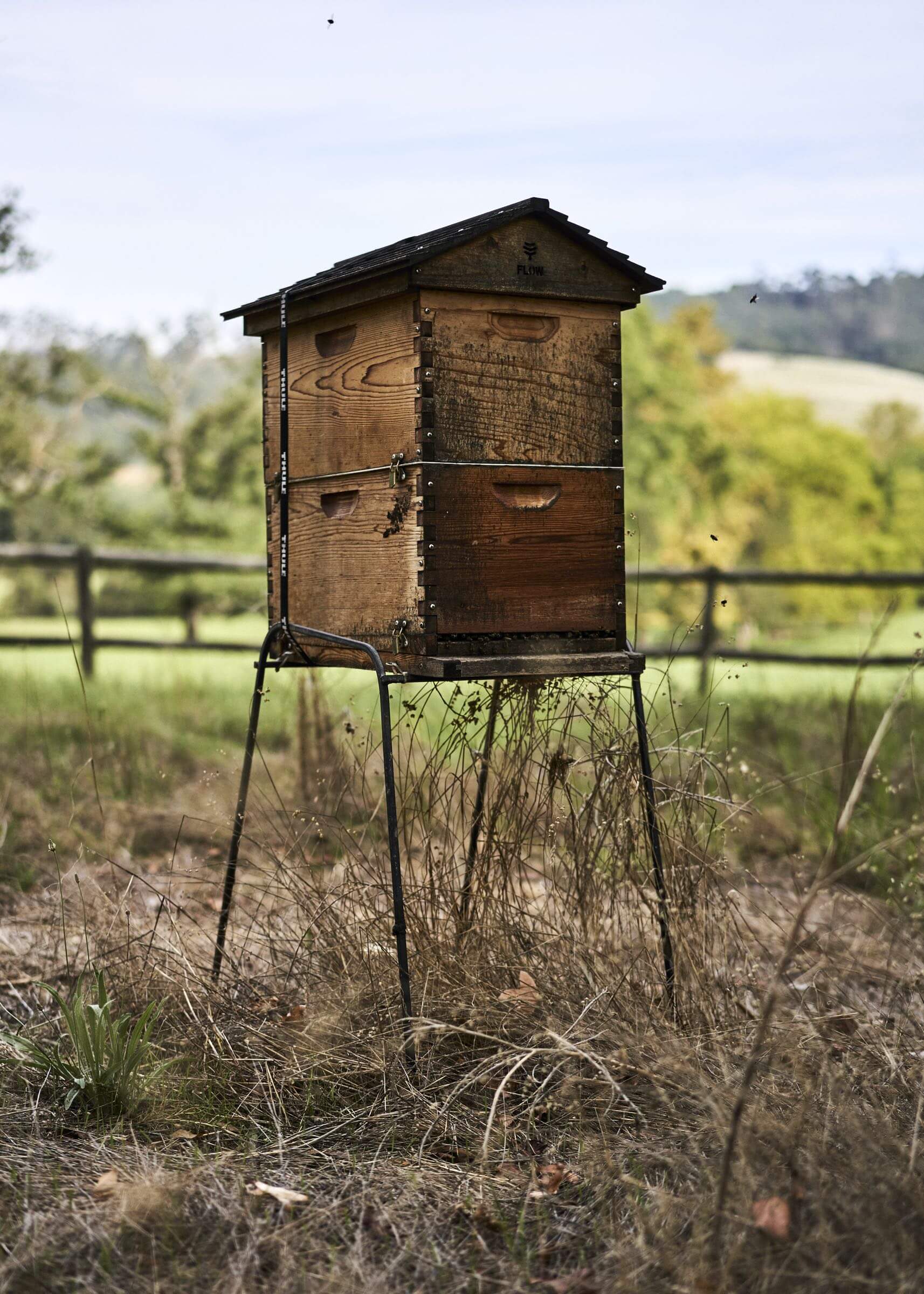 Flow Hives on Rustenberg – a Field Test and Review