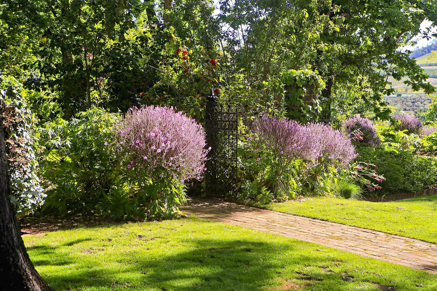 Rustenberg Open Garden 2019