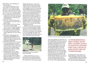 Flow-Hive-Article-pg-2