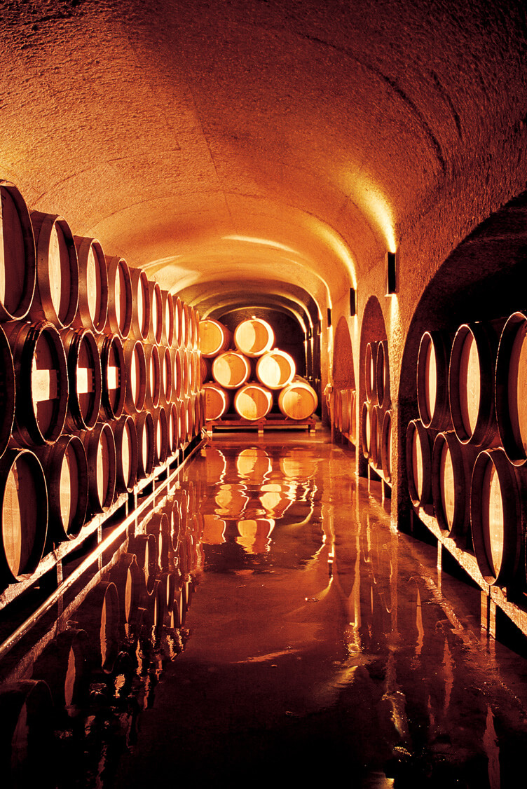 rustenberg-cellar-barrels-stellenbosch