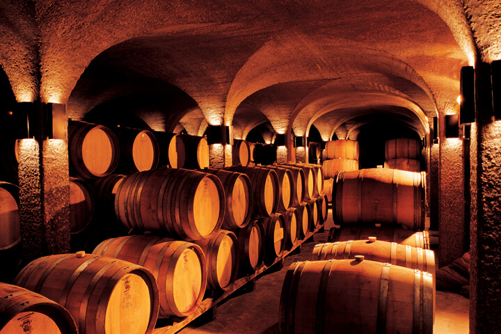 rustenberg-cellar-oak-barrels