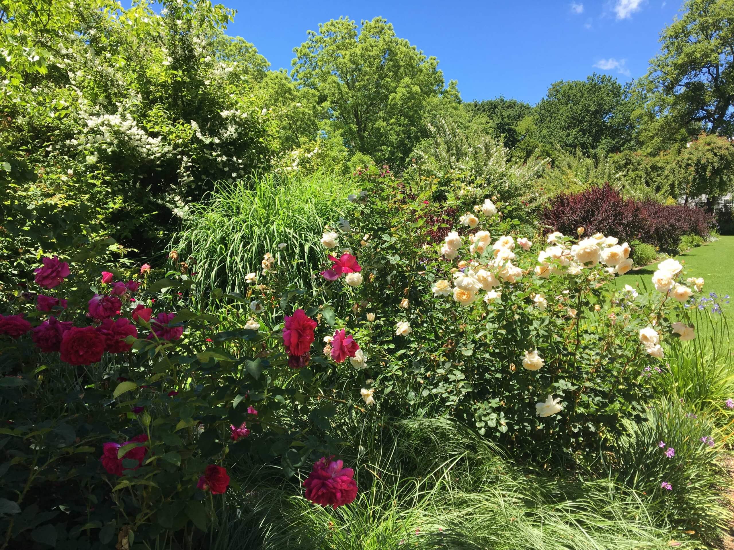 Rustenberg Manor House Open Garden 2018