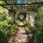 Schoongezicht Garden Rustenberg Stellenbosch