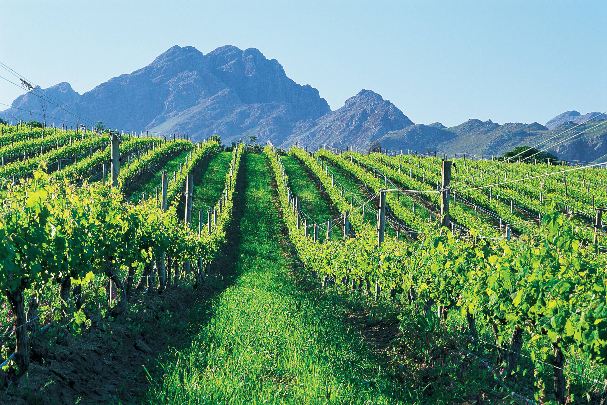https://www.rustenberg.co.za/wp-content/uploads/2020/06/Vineyards-landscape-scaled.jpg Recipe